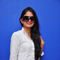 Sheena Shahabadi new pictures | Picture 45556